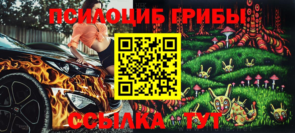 как найти закладки  Вход с VPN  Балашиха  Псилоцибиновые грибы GOLDEN TEACHER 