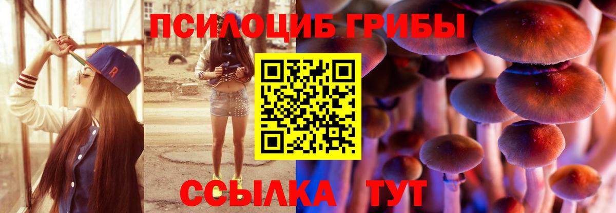 Галлюциногенные грибы Psilocybine cubensis Балашиха